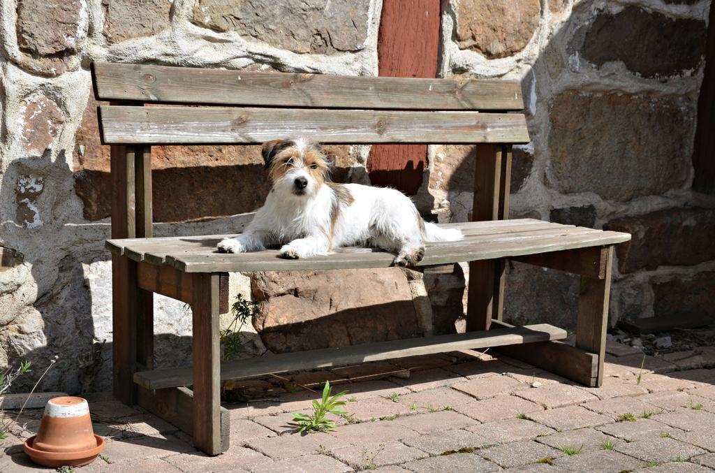 Bed and Breakfast Torsborgs Gard Simrishamn Esterno foto