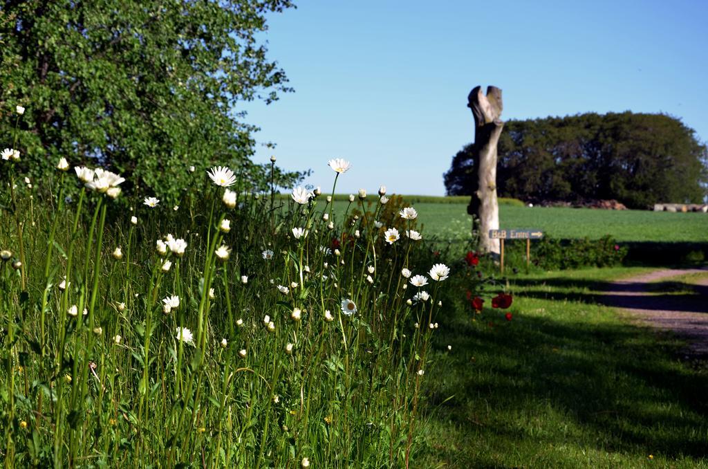 Bed and Breakfast Torsborgs Gard Simrishamn Camera foto